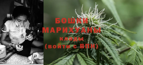 ГАЛЛЮЦИНОГЕННЫЕ ГРИБЫ Абаза