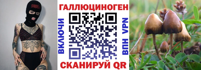 Галлюциногенные грибы GOLDEN TEACHER  Яранск 